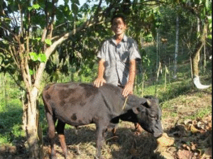 farmer with cow